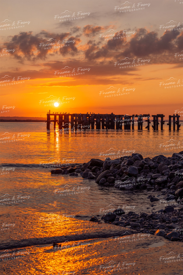 To buy a print or any of the below please click on the images